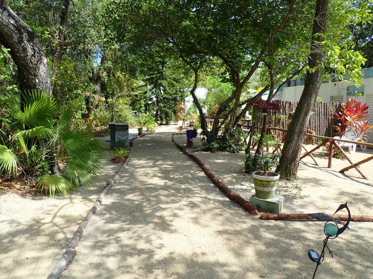 Simberts Apartments Maya Beach Εξωτερικό φωτογραφία